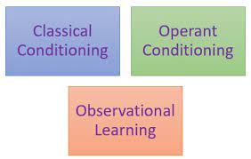 As with toddlers, it's best to this indoor physical activity is perfect for preschoolers, particularly for those four years old and up. Types Of Behavioral Learning The Peak Performance Center