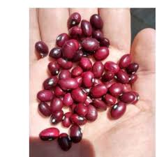 I recommend stirring the beans a few times throughout the cooking process so that the beans at the bottom … how to cook tofu shirataki noodles? China Wholesale Cook Dried Small Dried Red Kidney Beans China Cheap Red Kidney Bean Food
