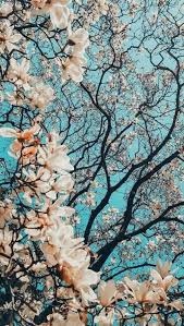 See more ideas about ipad, ipad pro, ipad pro rose gold. Aesthetic Spring Wallpaper Nawpic