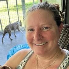 Colored Boston Terriers from Louisiana Swamps to the Florida Beaches