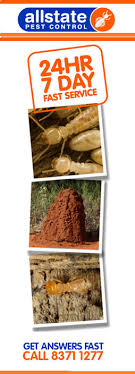 Chemical extermination is generally priced by the linear foot. Allstate Pest Control In Hindmarsh Adelaide Sa Pest Control Truelocal