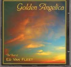 Image result for Brown 1999 Fleet