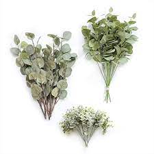 Best annual flowers to plant each year. Amazon Com Ling S Moment Artificial Eucalyptus Greenery Stems Filler Greenery Silver Dollar Eucalyptus Spray Box Set For Home Decor Wedding Bouquet And Table Centerpieces Decoration Home Kitchen