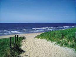 Pin On Nederlandse Stranden