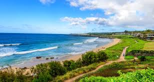 Paradise picnics maui makes your event easy because we do all the work. Maui Paradise Properties Maui Real Estate Maui Vacation Rentals Maui Paradise Properties Discover Maui
