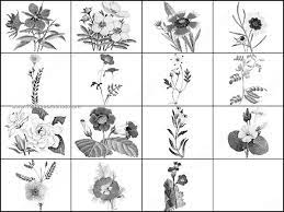 For more brushes and resoureces please see: Flower Brushes For Photoshop Cs2 Photoshop Free Brushes 123freebrushes