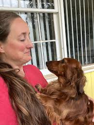 Seeking bi-weekly house cleaner in Brush Prairie