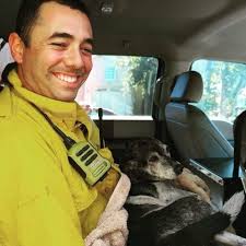 Fundraiser for Chandra Gottschall by Sonya Tafoya : Fire Survivor "Toby"