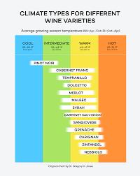 Red Wines From Lightest To Boldest Chart Wine Folly