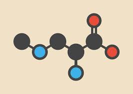 Common Functional Groups In Organic Chemistry