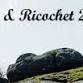 Saints Way Challenge & Ricochet 2026 event image