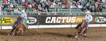 Frequent special offers and discounts up to 70% off for all products! Cactus Ropes