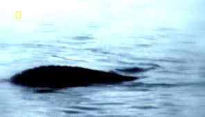 Un certain dr.wilson dit avoir. Documentaire Toute La Verite Sur Le Monstre Du Loch Ness En Streaming Les Docus Com