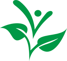 Natural Life Dominicana Logo Download Logo Icon Png Svg