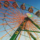 Custer County Fair
