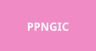 Top keywords % of search traffic. P P N Girls Inter College Parade Kanpur Nagar Reviews Fee Structure Admission Form Address Contact Rating Directory
