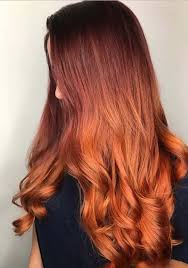 Nah dark brown ini setingkat lebih cerah dari warna rambut hitam, jadi aman aja kalo mau dipake ke. Inspirasi Baru 42 Warna Rambut Feves Maple Poliage Red