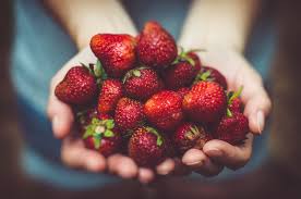 ½ tbsp kosher salt 1 cup strawberries, fresh 5 basil leaves 1 tsp nunaturals nust. Strawberries Water And Curiosity By Cecilia Clark Purple Museum Medium