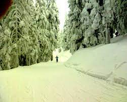 Booking site of poiana brasov. Partia De Ski Drumul Rosu Poiana Brasov Obiective Turistice Harta Romaniei