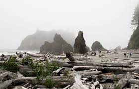 Maybe you would like to learn more about one of these? Olympic National Park Travel Guide Erika S Travels
