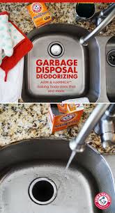 easy cleaning hacks, garbage disposal