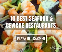 Check spelling or type a new query. Playa Del Carmen S 10 Best Restaurants For Seafood And Ceviche