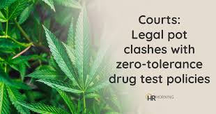 Check spelling or type a new query. Courts Legal Pot Clashes With Zero Tolerance Drug Test Policies Hr Morning