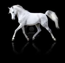 Check spelling or type a new query. Dessins En Couleurs A Imprimer Cheval Numero 70259
