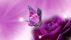 Find & download free graphic resources for butterfly. Computer Wallpapers Purple Butterfly 2021 Cute Wallpapers