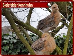 We did not find results for: Geflugelhof Brunnert