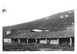 La pizza party le film cette vidéo vous montre comment sont fabriqués les fonds de tartes pour pizza et flamms à pâte fine à la pizza party installée. Four A Pizza Maison Made En Italie Vente Italien Four A Pizza A Bois Four A Pain Interieur Maison Meilleur Prix