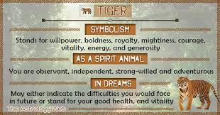 Tiger Symbolism Spirit Animal Dream Tiger Spirit Animal Spirit Animal Totem Spirit Animal Meaning