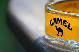 If you do not prefer high mg cigarettes, i'd say don't smoke the. Camel Ashtray Smoking Addiction Nicotine Cigarettes Smoke Close Up Text Western Script Pxfuel