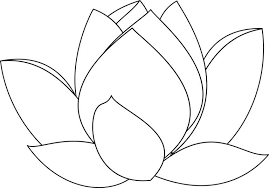 Lotus Clip Art Image Black And White 2019 Flower Line Drawings Flower Drawing Lilies Drawing