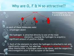 Bonding - Hydrogen Bonding In Water (A-Level Chemistry) - Study Mind