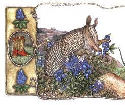 Armadillo Rodeo Jan Brett Cute Illustration Funny Artwork Armadillo