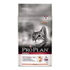 Maybe you would like to learn more about one of these? 10 Merk Makanan Kucing Yang Bagus Dan Berkualitas