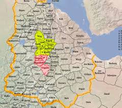 Amde Seyon The Conqueror History Of Ethiopia Historical Maps History