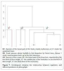 Image result for Ancistrorhynchus clandestinus