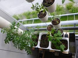 Follow these container vegetable garden design ideas to maximize harvest and make your edible garden less boring. Hydroponic Gardening Part 1 An Overview
