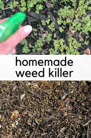 This natural weed killer recipe may be best for sidewalks and driveways. Homemade Weed Killer With Vinegar And Dawn The Happier Homemaker