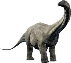 Apatosaurus was able to reach length of 75 feet and weight of 25 to 40 tons. Apatosaurus Jurassic World Evolution Wiki Fandom
