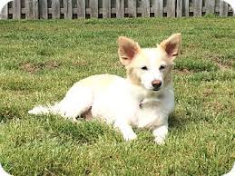 Maybe you would like to learn more about one of these? Pin On Animals