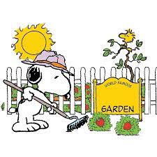 Snoopy Spring Strawberry Patch Bb Snoopy Snoopy Love Snoopy Funny