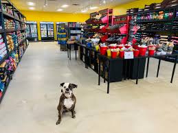 Maybe you would like to learn more about one of these? Regional Pet Store Chain Adds Spot In Short Pump Richmond Bizsense