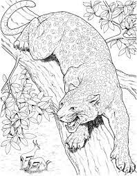 Leopard Roars On Tree Coloring Page Super Coloring Cat Coloring Page Animal Coloring Pages Animal Coloring Books