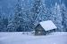 Snow Cabin Night
