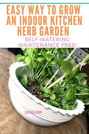 This allows you to water generously in areas that require it, without overwatering herbs that like to remain dry. The Easy Way To Grow An Indoor Kitchen Herb Garden Best Semi Hydrophonics Set Up With Self Watering Wick Susiej
