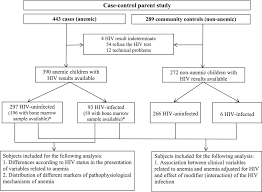 Image result for HIV Pathophysiology