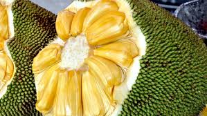 Kimnayaworkout published august 23, 2021 39 views $1.92 earned. The Biggest Fruit In The World Jackfruit Article Glbrain Com